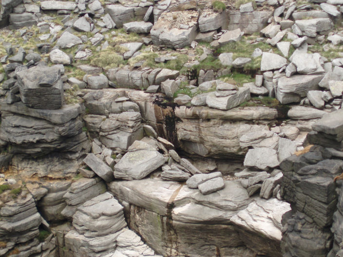 Kinder Downfall Kinder Downfall